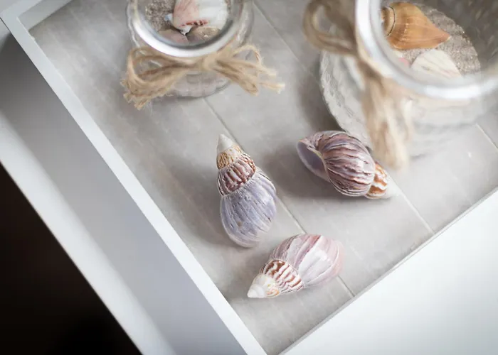 Achter Duenem App 5 Lägenhet